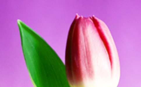 ����������15ƪ[����]