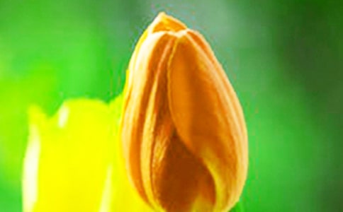 ���������ĺϼ���15ƪ��