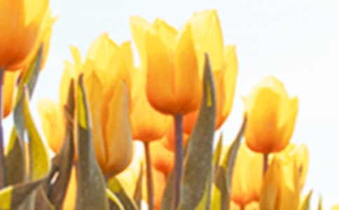 �й�������������İ��þ�ժ��