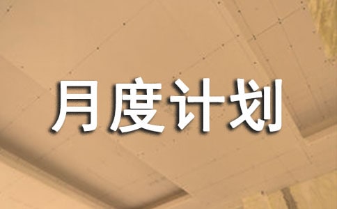 月度计划完成情况总结通用