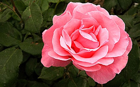 �����лʺ��¼�����