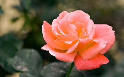 ��д�¼���������