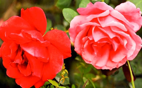 2024�������¼����ľ���42��