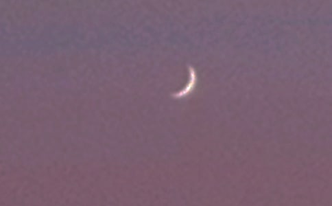 《鼹鼠的月亮》读后感