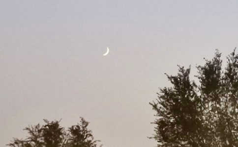 ������������ӡ������15ƪ(����)