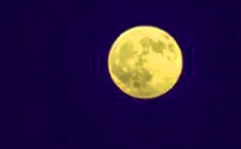 花好月圆夜作文(精选29篇)