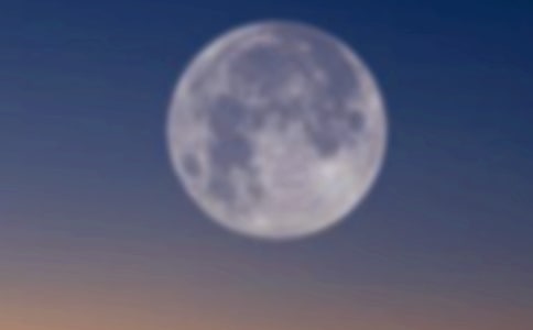 月圆人团圆作文(通用29篇)