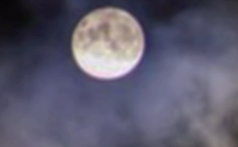 (����)������Բ����11ƪ