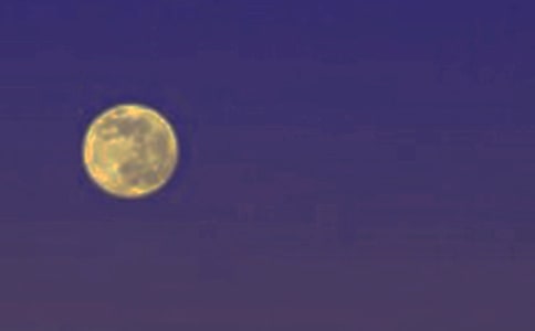 月圆之夜作文通用15篇