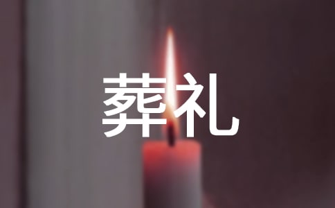 《查理九世之青铜棺的葬礼》读后感优秀