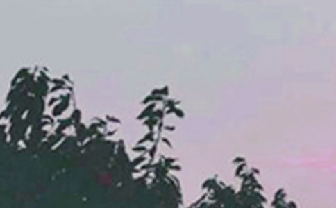 2020年精选早安共勉句子QQ33条