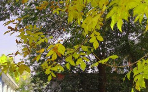 简单的早安共勉句子QQ26条