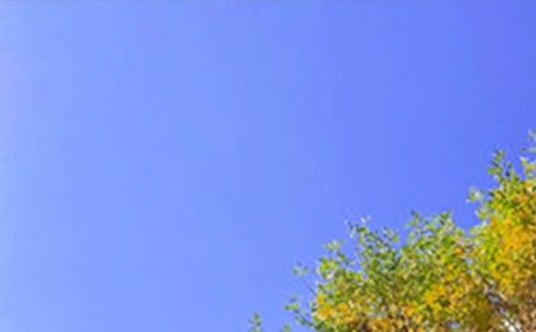 ��������Ȧ�簲�İ�40��