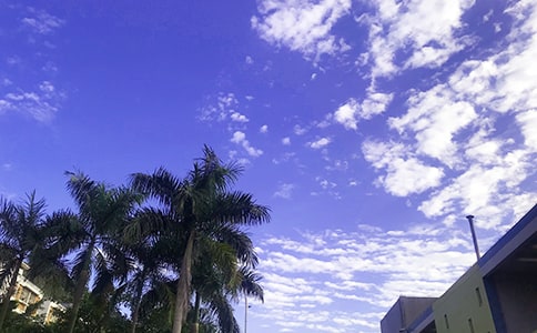 ����Ψ���簲�İ����ܣ���ѡ200�䣩