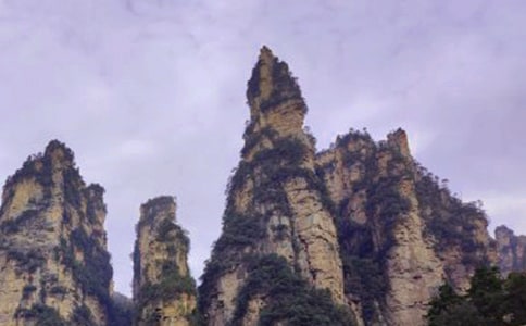 �����żҽ�����