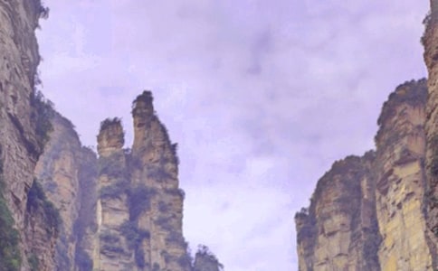 �żҽ�����(15ƪ)