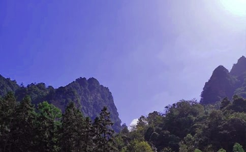 �żҽ�����