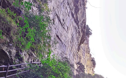 ���ϼ����żҽ�����