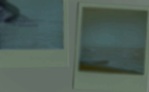 一张珍贵的照片作文实用(15篇)