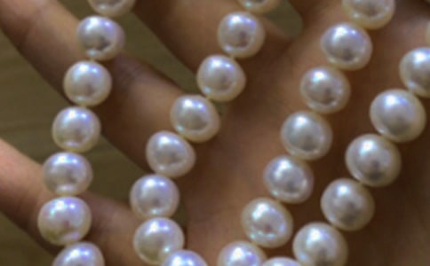 珍珠鸡作文【经典3篇】