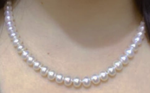 珍珠泉作文汇编15篇