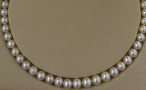 《黑珍珠》读后感