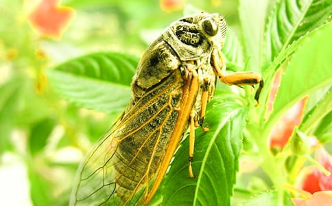 ׽֪������[����15ƪ]