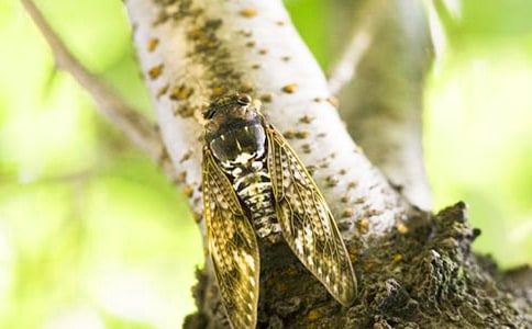 ץ֪������13ƪ[�ر�]