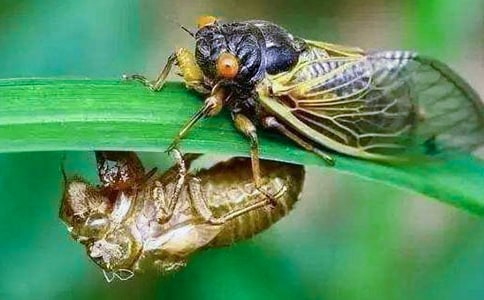 ���Ƽ���׽֪������