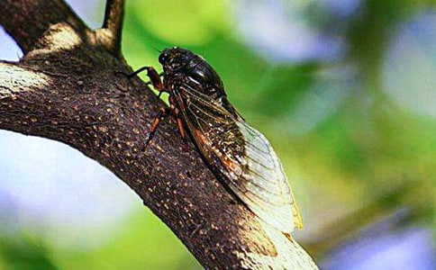 [��]׽֪������