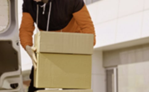 (����)ְҵ������