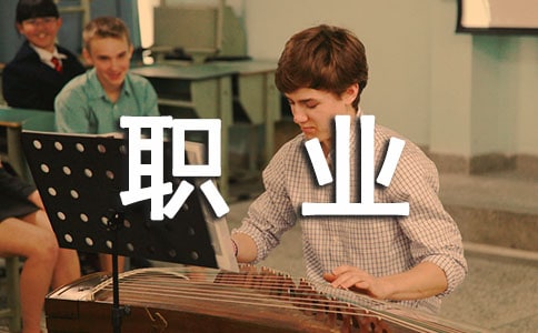 ��ѧ��ְҵ�����������滮�ܽ᷶��