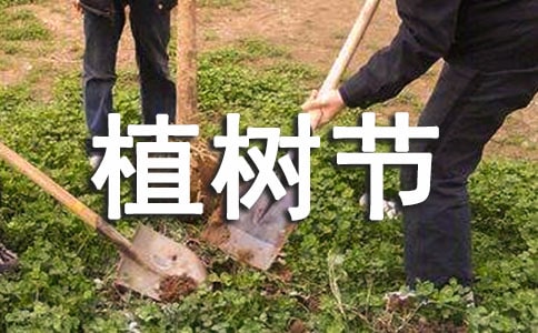 植树节心得体会