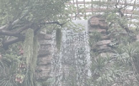 �����š���ֲ��԰����