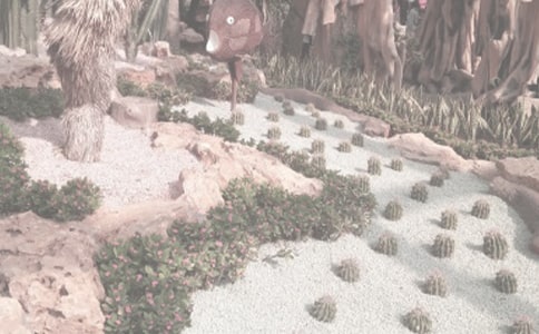 �ι�ֲ��԰������ƪ