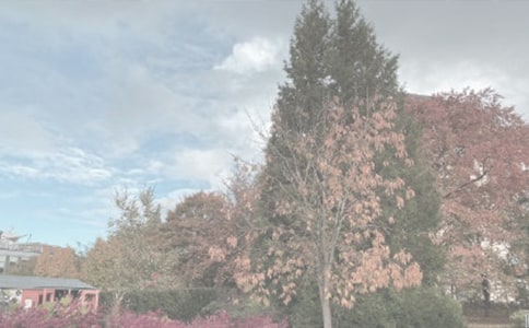 ���ɺ�ֲ��԰���ģ���ѡ27ƪ��