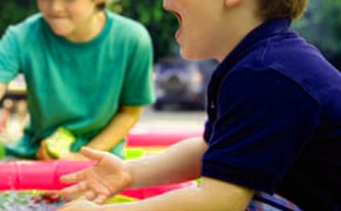 �ɰ���ֶ������