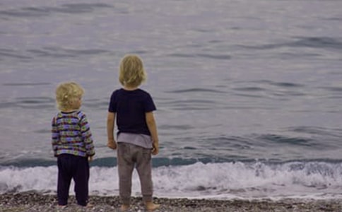 (必备)我的侄子作文15篇