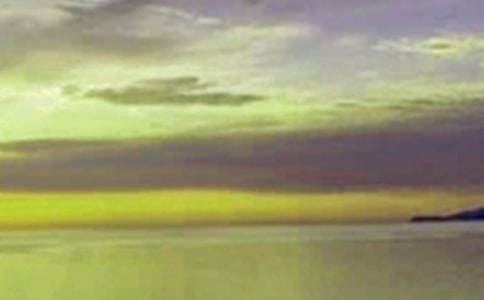 中午的作文15篇