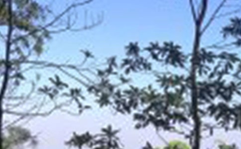 �����ů�ľ���