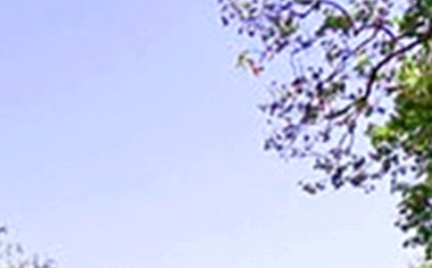 难忘的中午作文(6篇)