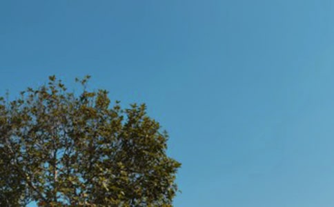 ����õľ���