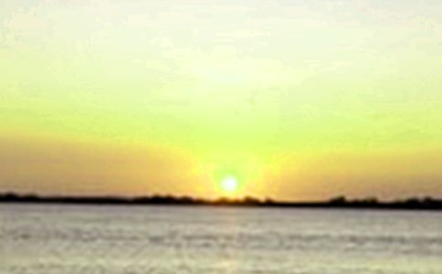 ��д��������ľ���5ƪ