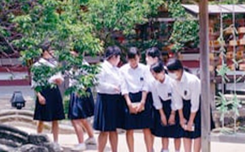 ��ѧ���辰��������