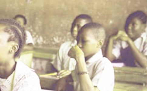 ��ѧ���ҵ�����