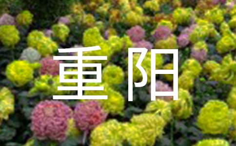 重阳登高作文500字