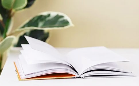 ����ѡ�����ĵ���ĩ����