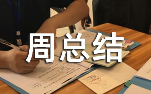 一周总结作文