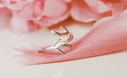 �鱦�����ƻ�15ƪ