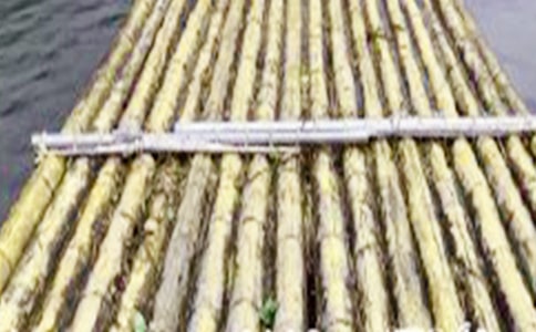 �������ģ�ͨ��24ƪ��